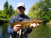 Yury and Chalk stream Brown t. May