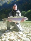 Trophy Rainbow trout Slovenia 2012 Oct.