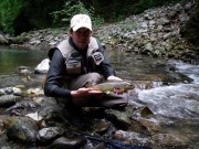 Darren and brown trout