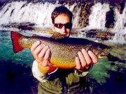 Luka and trophy Brook trout