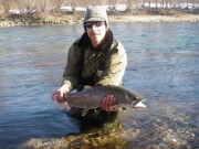 Lustrik and Huchen, Danube taimen, salmon