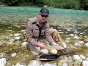 Soca Marble trout, Slovenia