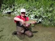 Sava rainbow trout, Summer