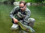 Lustrik and green Marble trout