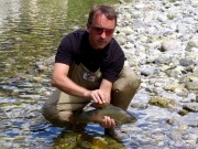 Great Grayling Slovenia