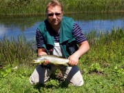 Trophy chalk stream Brown trout