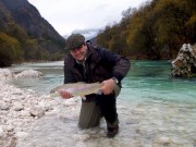 Trophy Soca Rainbow trout