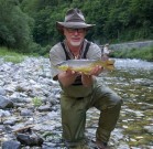 Good Brown trout, Slovenia