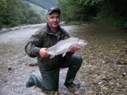 Great rainbow trout of Slovenia
