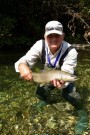 Marble trout, small stream Summer