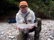 Bistrica brown trout