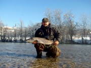 Bostjan and Huchen, Danube taimen, Salmon