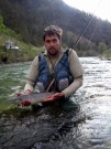 Good Marble trout, I river
