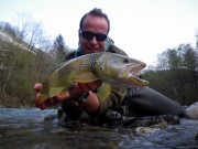 Lustrik and Marble trout Slovenia