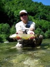 Marble trout Slovenia May