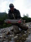 Trophy rainbow trout, Slo.