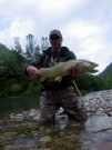 Trophy Marble trout in Slovenia